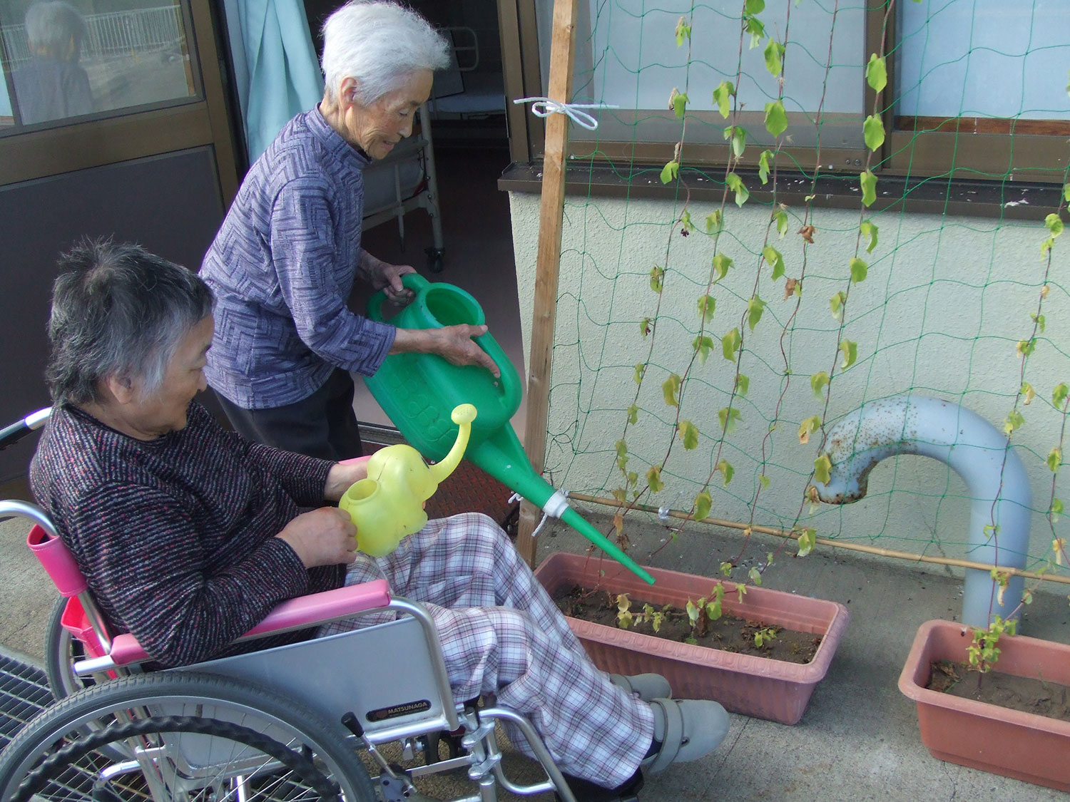 団十郎（朝顔） 2 特別養護老人ホームサンアップルホーム