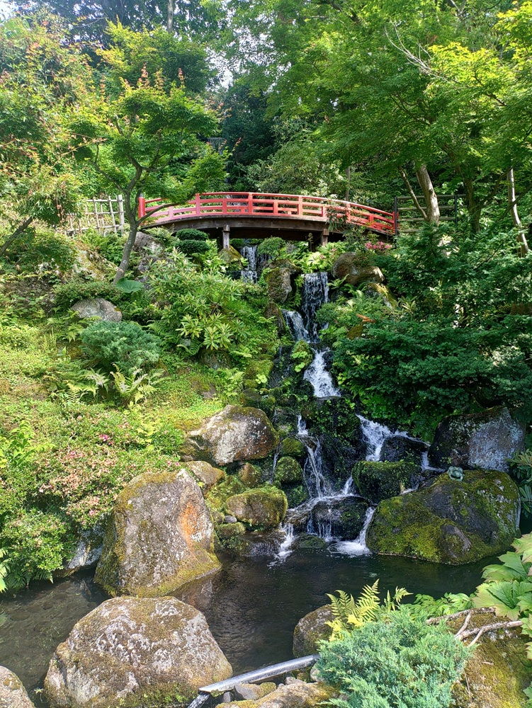 藤田記念庭園へ余暇外出（サンアップルホームデイサービスセンター浜の町）